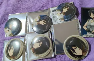 진격의 거인 미카사