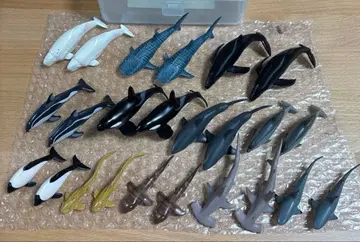 COLORATA 카로라타 오리지널 피규어