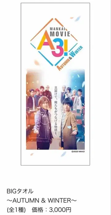 에이스테 에임비 가을/겨울 BIG 타월