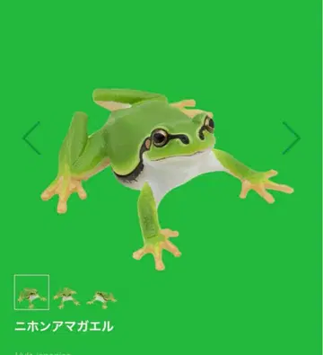 미니어처 피규어 황소개구리와 청개구리 가챠가챠 일본청개구리