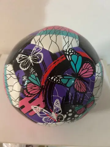 귀멸의 칼날 축구공 코쵸우 시노부