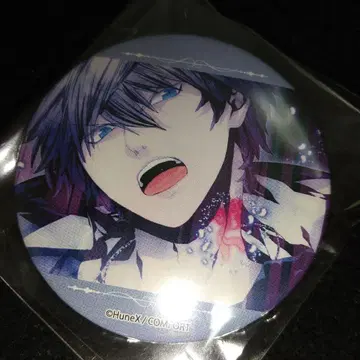 아르카나 패밀리아 아쉬