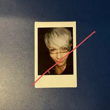 골든 폭격기 우타히로바 준 폴라로이드