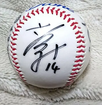 사소 나츠미 친필 사인 공식 공 여자 프로야구 아이치 디오네 jwbl