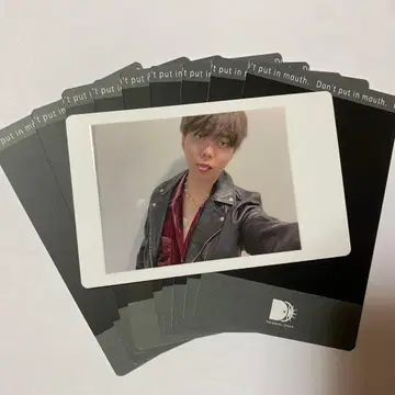 아즈 하피카 팬더 드래곤 파라곤