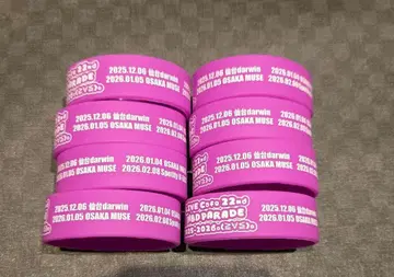 안카페 러버밴드 카논 8개 묶음 판매