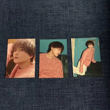 야기 유세이 즛토 즛토 트레이딩 카드 2