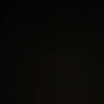 스나이델 snidel 레이디라이크 코트 울