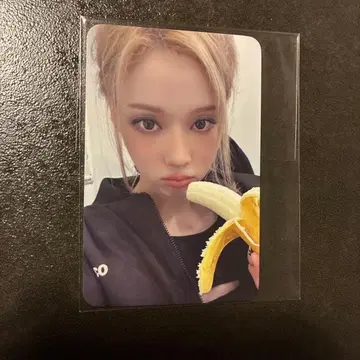 aespa Whiplash everline 예약 특전 트레이딩 카드 윈터