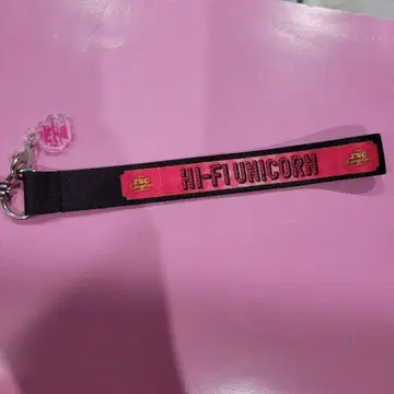 FNC KINGDOM 2024 스트랩 하파유 hifiunicorn