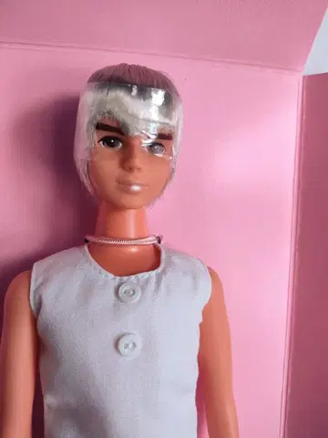 리카짱 캐슬 제니 보이프렌드 톰