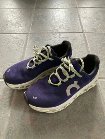 On CloudMonster 온 클라우드몬스터 러닝화 보라색