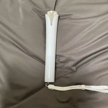 Snow Mania 응원봉