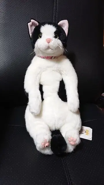 하치 이야기 봉제 인형 (앉은 자세) 하치와레 고양이 택 포함