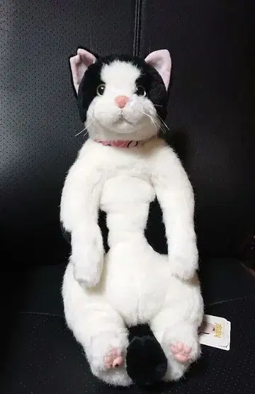 하치 이야기 봉제 인형 (앉은 자세) 하치와레 고양이 택 포함