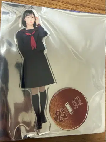 AKB48 무도관 아라이 나기 아크릴 스탠드