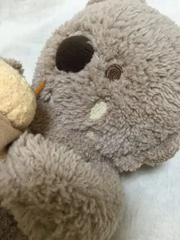 코알라 봉제 인형 약 30cm