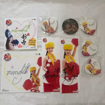 하와이안즈 플라걸 60기생