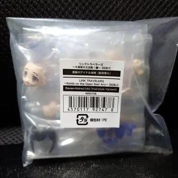 링크 트래블러스 대해원 결전! 편 블랙 헤어 아이돌 해적