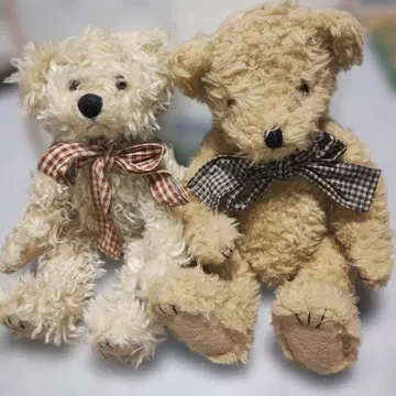 미국 구매 곰 봉제 인형 1 베이지 2 화이트 브라운 2체 세트