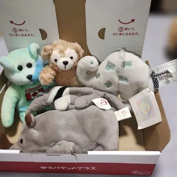 봉제 인형 5체 세트 곰 공룡 코뿔소