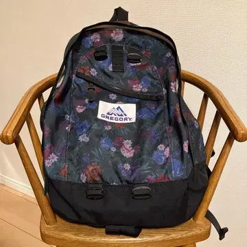 그레고리 빔즈 보이 별주 백팩