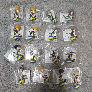 하이큐!! 푸칫토 노리마스 16개