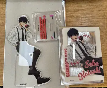 사카모토 데이즈 파보테리아 세바 나츠키