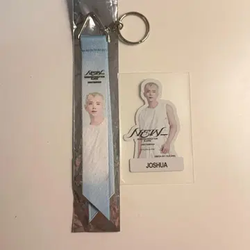 SEVENTEEN NEW 조슈아 오사카 다이컷 스티커