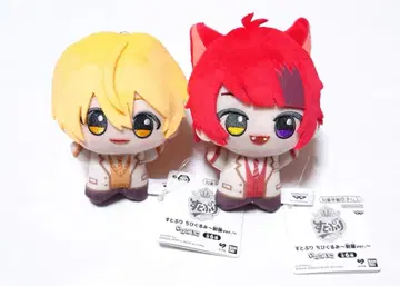 스토푸리 루토 리이누 세트 묶음 판매