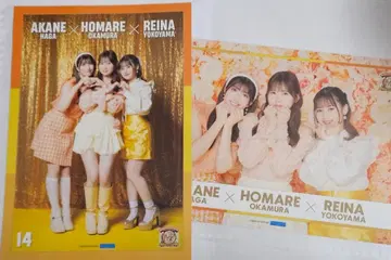 오카무라 호마레 핑포스 2장