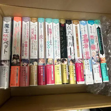 bl 소설 대형 사이즈 묶음 판매 안달슈 노벨즈 세트