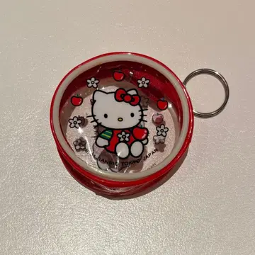 헬로키티 미니 비닐 케이스