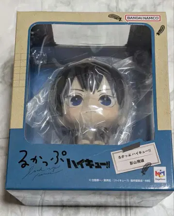 하이큐!! 룩업 카게야마 토비오