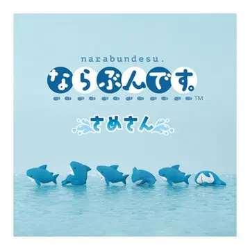 늘어서세요. 상어 씨 전 6종