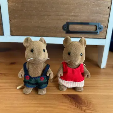 브라운 쥐 초기 어린이 사이즈 2개 세트 어린이