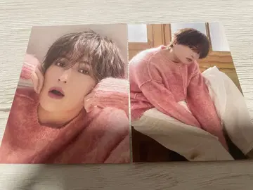 야기 유세이 트레이딩 카드 세트 쭈욱 쭈욱