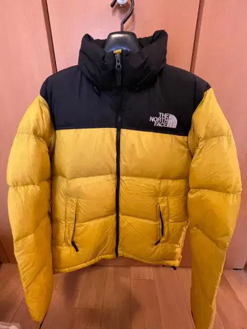 THE NORTH FACE 눕시 자켓
