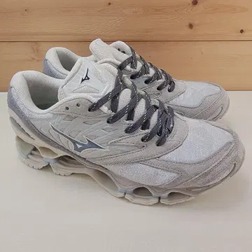 미즈노 웨이브 프로페시 LS 미메틱스 24.5cm