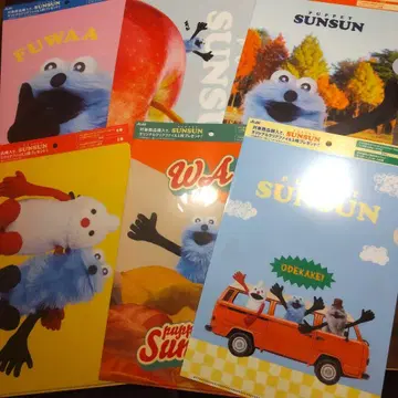 SUNSUN 클리어 파일 세트