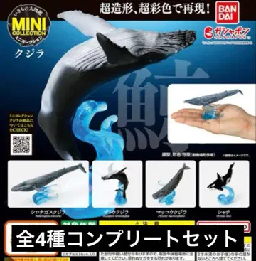 미니 컬렉션 고래 4종 세트