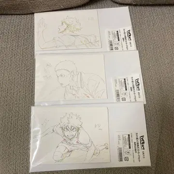 하이큐 컷 봉입 원화 엽서 세트 카라스노A 카라스노B 카라스노&토리자와