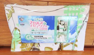 걸즈 앤 판처 제일복권 G상 니시누노요 시바타 학원 비주얼 타월