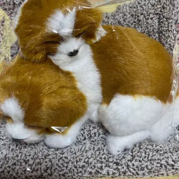 [ 힐링계 ] 부자지간에 새근새근 잠든 강아지 봉제 인형 캐벌리어