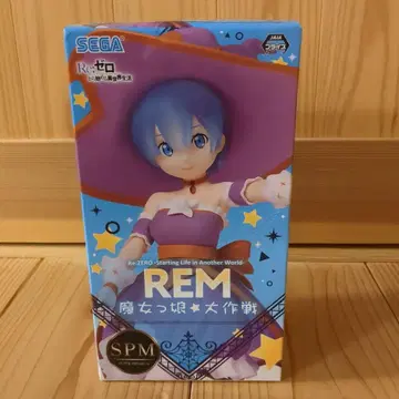 Re: 제로부터 시작하는 이세계 생활 렘 피규어