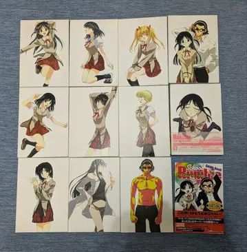 스쿨럼블 DVD 9권 + OVA + PleasureFile 묶음 판매