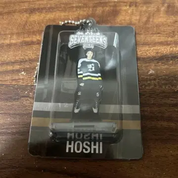 호시 아크릴 키링 아크키 SEVENTEEN HOME 일본 한정판