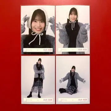 사쿠라자카46 브로마이드 무카이 이토하 겨울 의류 컴프