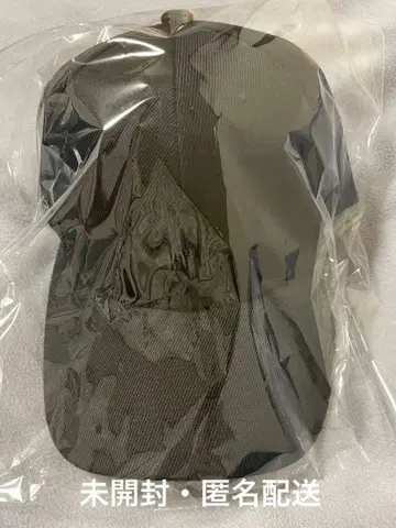 조춘 대머리 문어 새우 플라이 군 캡 모자 신세계에서