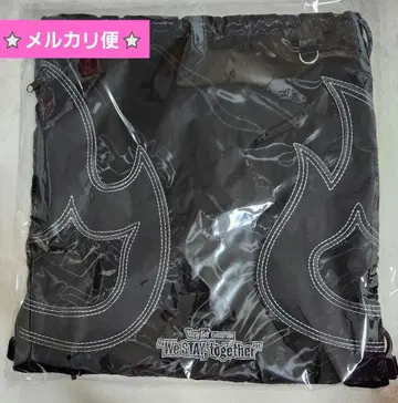 Straykids 스키즈 방찬 냅색